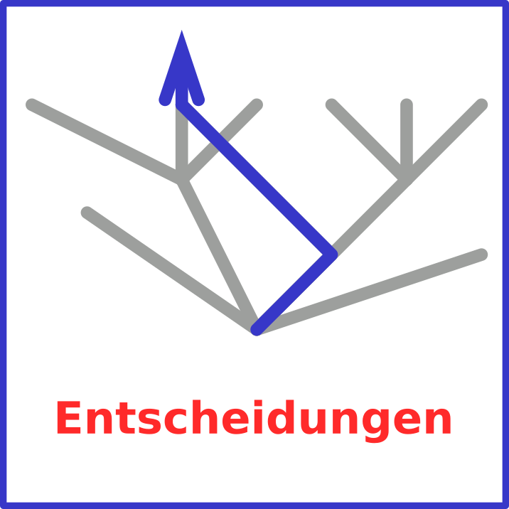 Entscheidungen